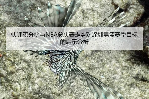 快评积分榜与NBA总决赛走势对深圳男篮赛季目标的启示分析